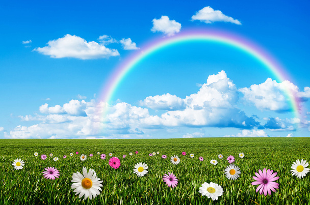 Día soleado con fondo de arco iris
 - Foto, Imagen