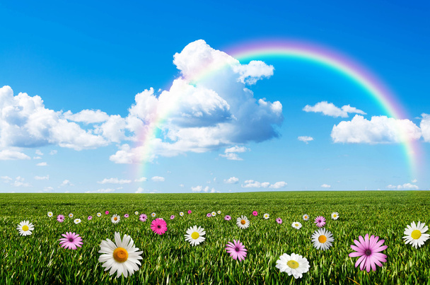 Giornata soleggiata con sfondo arcobaleno
 - Foto, immagini