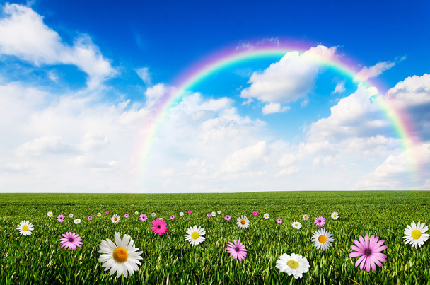 Sunny day with rainbow background - Photo, Image