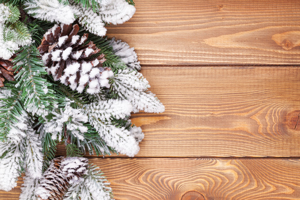 Christmas fir tree with snow - Photo, Image