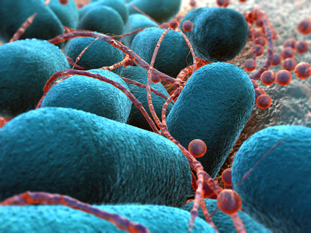 Escherichia coli bakterium - Zdjęcie, obraz