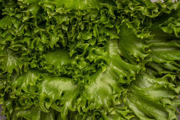 Green lettuce leaves. Flat lay. Nature background. - Photo, image