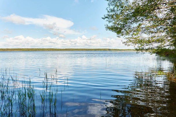 Panoramic view from the shore of a crystal clear forest lake (river). Idyllic landscape. Spring, early summer. Nature, environment, ecology, ecotourism, hiking, vacations, swimming and relaxing themes - Photo, Image