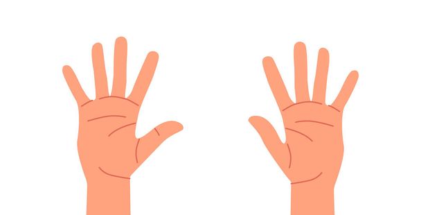 Manos humanas, palmas vacías abiertas, educación de dedos para niños. Little, Ring, Middle, Index y Thumb Fingers. Carácter caucásico Hombre o Mujer Partes del cuerpo Vista frontal. Ilustración de vectores de dibujos animados - Vector, Imagen