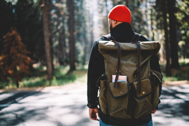 Back view of unrecognizable bearded male traveler in warm clothes and hat with backpack standing in forest during walk in sunny day - Φωτογραφία, εικόνα