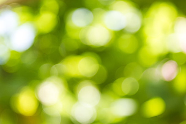 Натуральний зелений розмитий фон і Боке, абстрактні тло
. - Фото, зображення