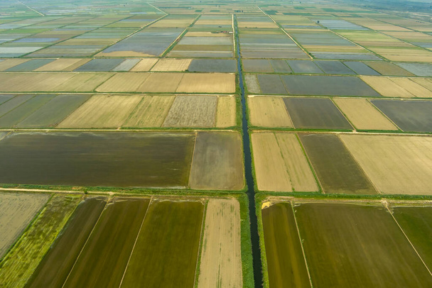 Aerial view of rice field in Xalastra, Greece - Valokuva, kuva