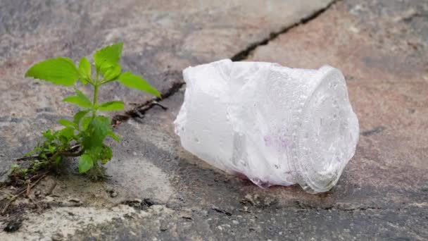 Basura de taza de plástico en el suelo durante la lluvia - Metraje, vídeo