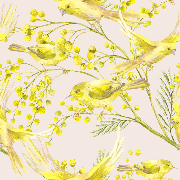 Безшовні візерунок з гілочкою мімози, жовтий птах - Фото, зображення