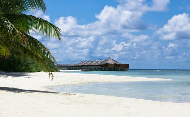 Beaux paysages tropicaux aux Maldives
 - Photo, image