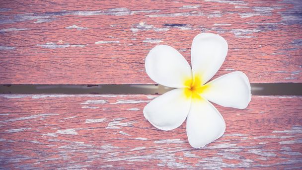 Plumeria Essential Oil Perfume and yellow plumeria flowers on the wooden  table, Stock image