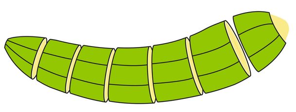 Зеленые банановые слайсы
 - Вектор,изображение
