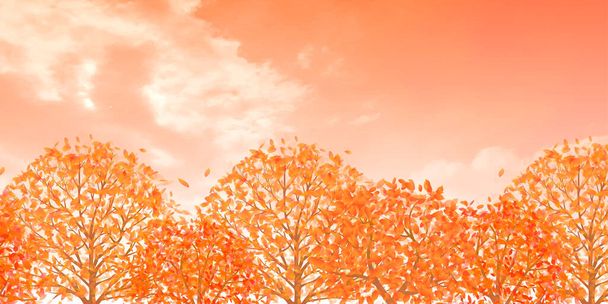 Őszi levelek őszi táj háttér - Vektor, kép
