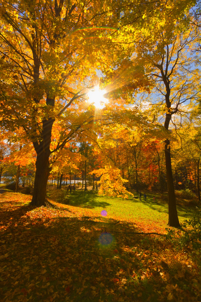 Colorful fall scenery landscapes. - Fotó, kép
