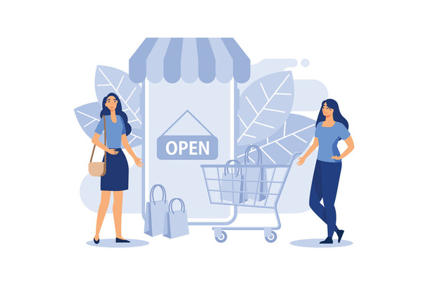 women with shopping cart and commercial vector flat illustration - Vector, Image