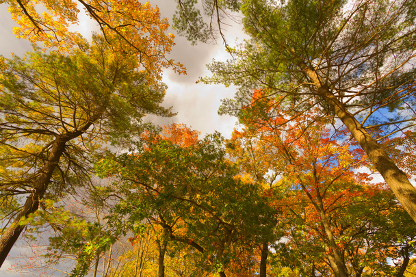 Colorful fall scenery landscapes. - Fotoğraf, Görsel