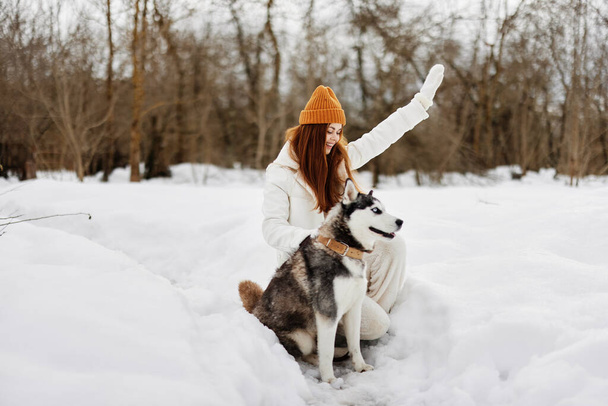 Köpekli bir kadın kış yürüyüşü yapıyor, arkadaşça temiz hava. Yüksek kalite fotoğraf - Fotoğraf, Görsel