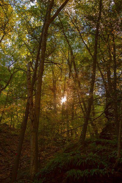 Colorful fall scenery landscapes. - Fotoğraf, Görsel