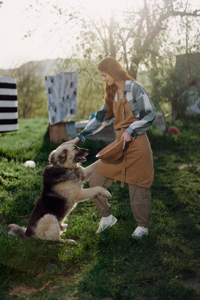 A nő simogatja a nagy szőrös kutyáját. farm a vidéken hátterében tiszta szennyes egy kötélen. Kiváló minőségű fénykép - Fotó, kép