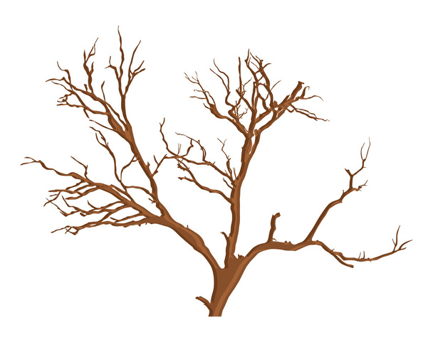 Assustador vetor de árvore morta
 - Vetor, Imagem
