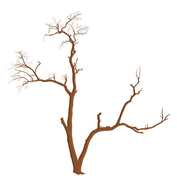 Elemento de forma de árvore morta
 - Vetor, Imagem