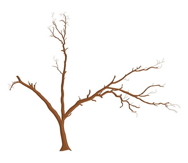 枯れ木のデザイン要素 - ベクター画像