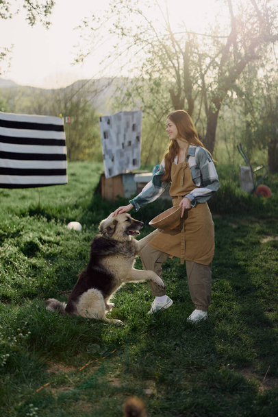 Жінка погладжує свого великого пухнастого собаку. ферма в сільській місцевості на тлі чистої білизни на мотузці. Високоякісна фотографія - Фото, зображення