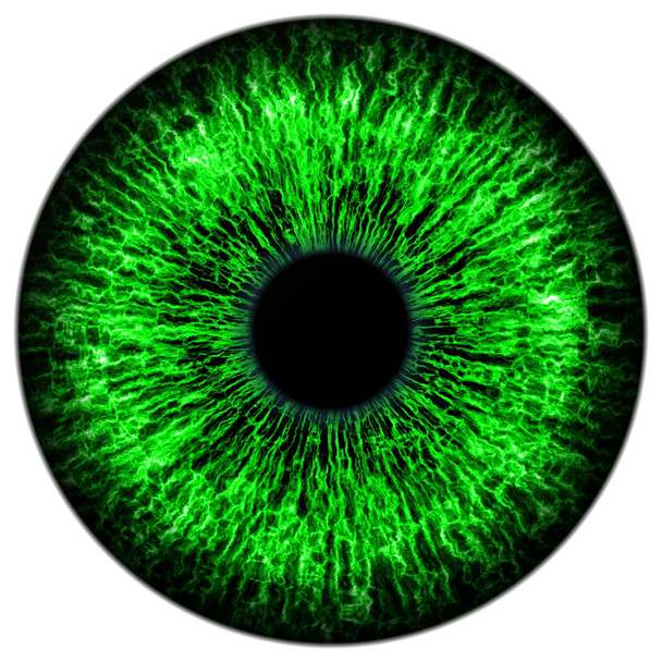 grünes Auge - Foto, Bild