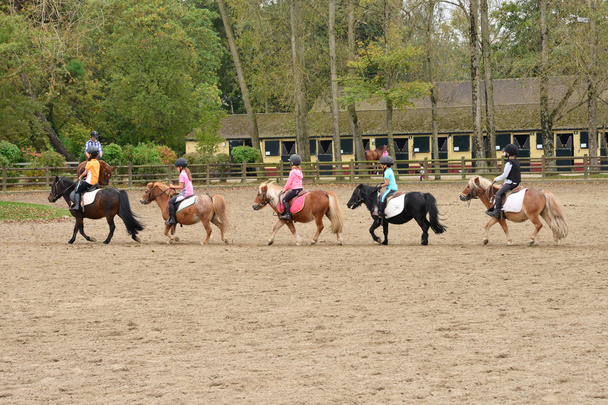 França, o centro equestre de Le Touquet
  - Foto, Imagem
