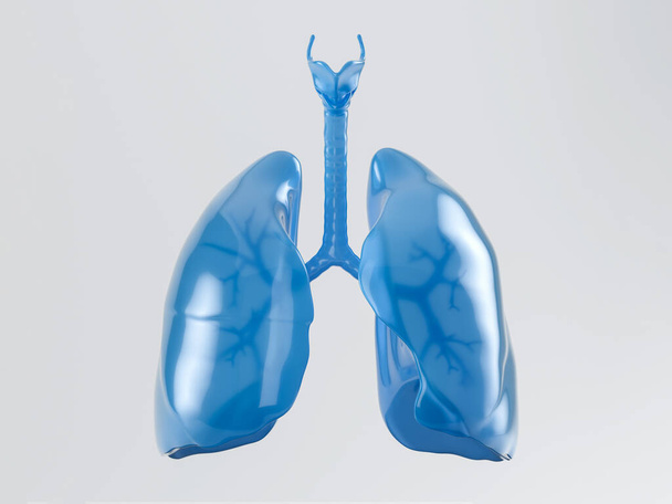 3d illustration of human lungs made of blue plastic isolated on white background - Valokuva, kuva
