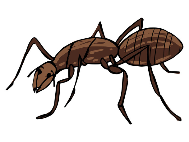 Mravenec  - Vektor, obrázek