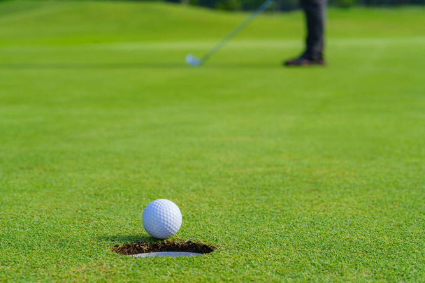 Гольфер поклав м'яч для гольфу в лунку на зелений на полі для гольфу
. - Фото, зображення