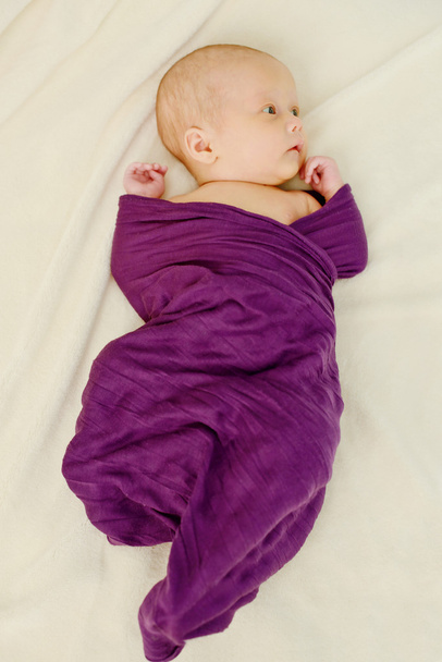newborn - Foto, imagen
