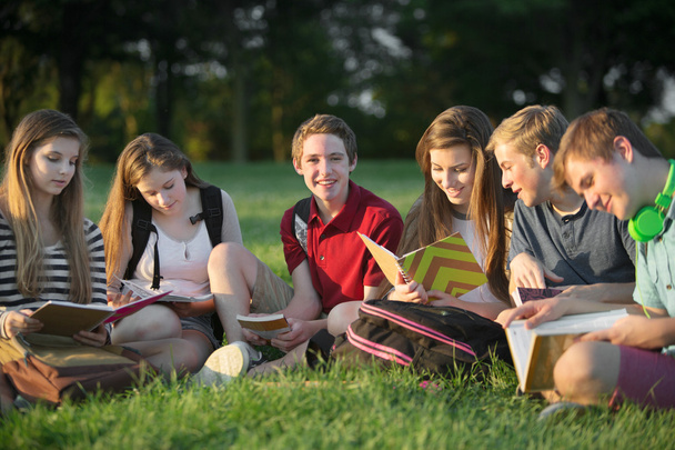 Teens Doing Homework Outdoors - Фото, зображення
