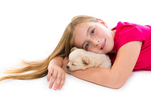blond kid girl with puppy chihuahua pet dog - Foto, Imagen
