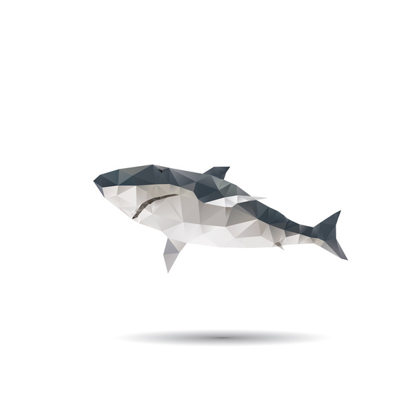Абстрактная акула на белом фоне
  - Вектор,изображение