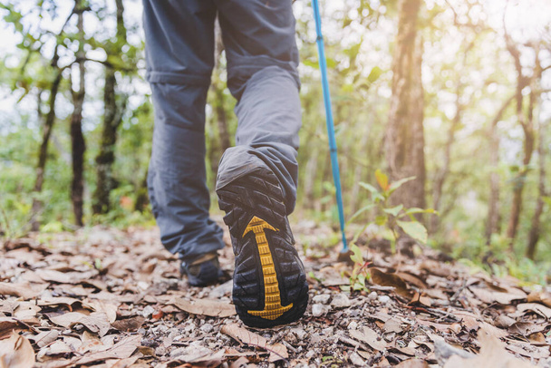 Scarpe da trekking in azione su un sentiero di montagna Close-up di scarpe da escursionista maschile. - Foto, immagini