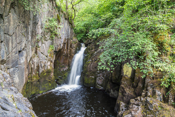 A cachoeira Hollybush Spout retratada perto de Ingleton na Trilha das Cachoeiras Ingleton em North Yorkshire. - Foto, Imagem