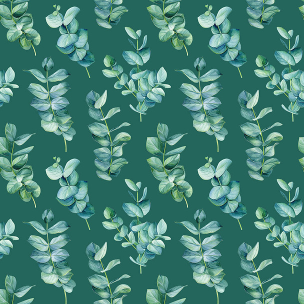 Бесшовные узоры листьев эвкалипта на изолированном зеленом фоне. Акварель. Высокое качество иллюстрации - Фото, изображение