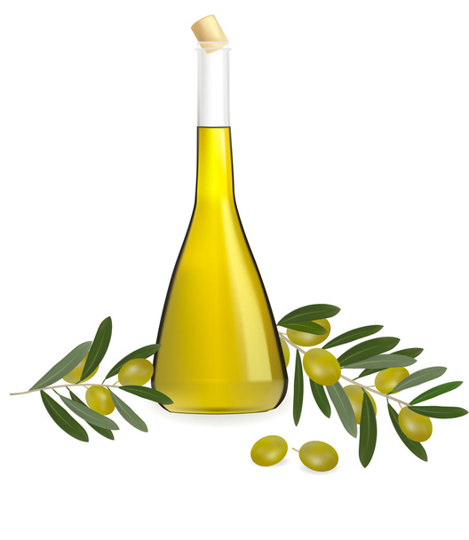 Bottle of olive oil with olives and spices. Vector. - Vektör, Görsel