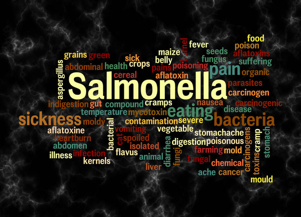 Word Cloud with SALMONELLAのコンセプトはテキストのみで作成します. - 写真・画像