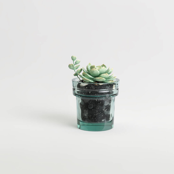 Illustration 3D de plantes d'intérieur isolées en pot sur fond blanc - Photo, image