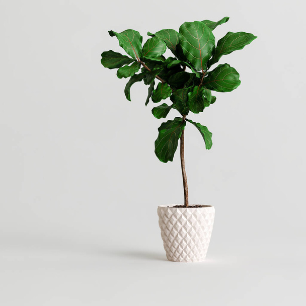 3D-Illustration der Zimmerpflanze isoliert auf weißem Hintergrund - Foto, Bild