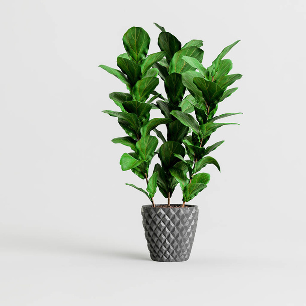 白地に隔離された観葉植物の3Dイラスト - 写真・画像
