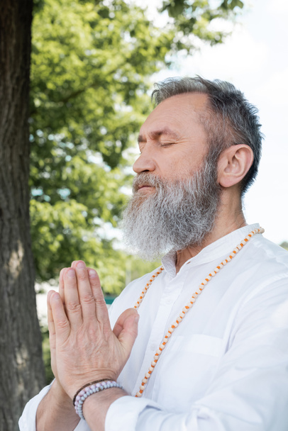 bearded master guru meditating with closed eyes and praying hands outdoors - Фото, изображение