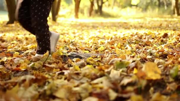 A little daughter is walking on autumn fallen leaves. Autumn park. The legs of a child walk on a yellow-orange leaf taken close-up - Footage, Video