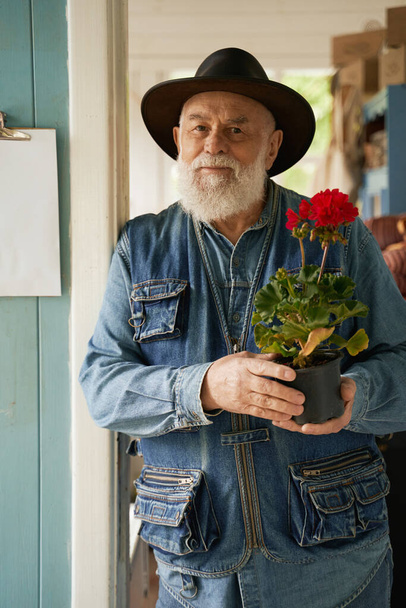 腰アップ肖像画上の彼の店で作業中に手に赤い花を保持している髭のシニア男性 - 写真・画像