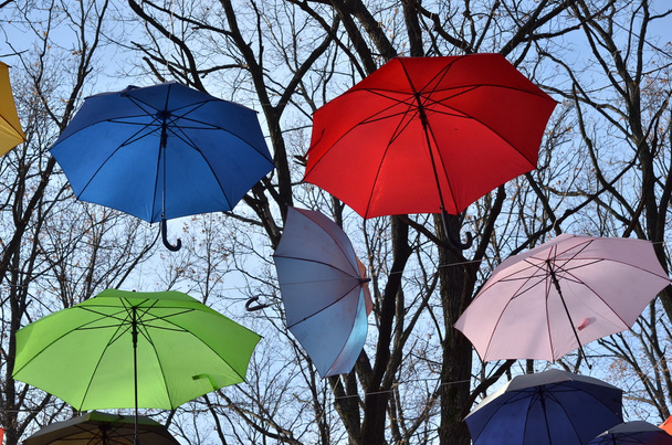 Paraguas brillantes. Concepto de libertad
 - Foto, Imagen