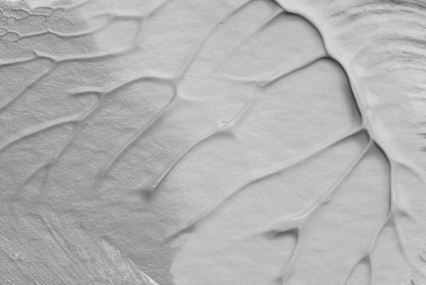 Schwarz Weiß abstrakt Acryl Malerei Farbe Textur auf weißem Papier Hintergrund durch Verwendung von rorschach Tintenklecks-Methode - Foto, Bild