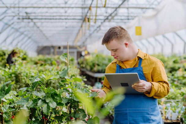 A young man with Down syndrome working in garden centre, holidng clipboard and checking plants. - Foto, Bild